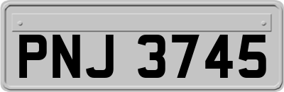 PNJ3745