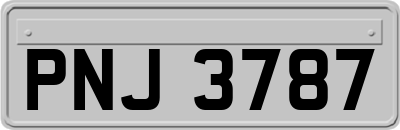 PNJ3787