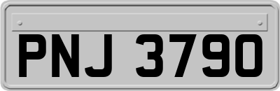 PNJ3790
