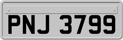 PNJ3799