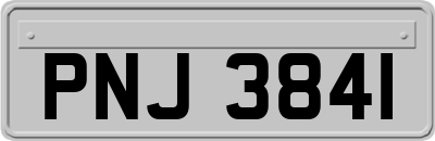 PNJ3841