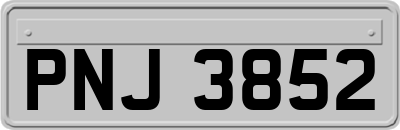 PNJ3852