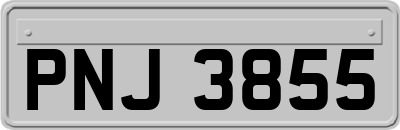 PNJ3855