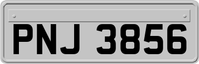 PNJ3856