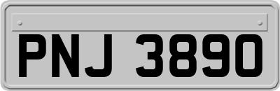 PNJ3890
