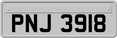 PNJ3918