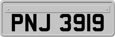 PNJ3919