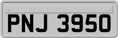 PNJ3950