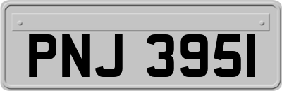 PNJ3951