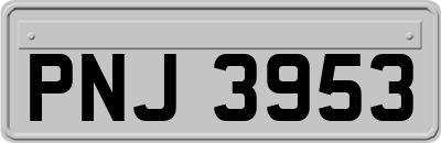 PNJ3953