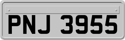 PNJ3955