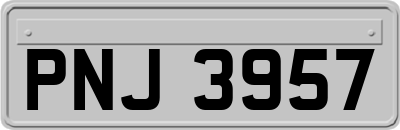 PNJ3957