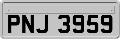 PNJ3959