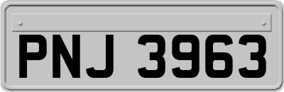 PNJ3963