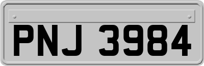 PNJ3984