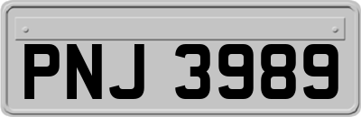 PNJ3989