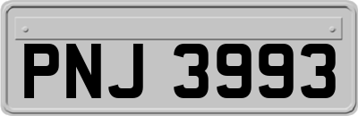 PNJ3993