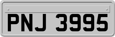 PNJ3995