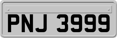 PNJ3999