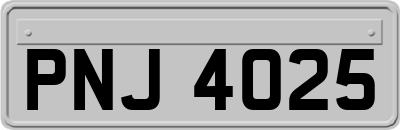 PNJ4025