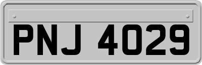PNJ4029