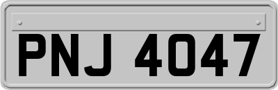 PNJ4047