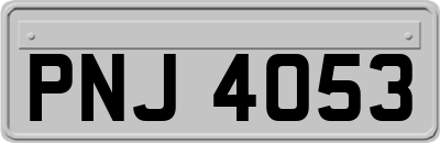 PNJ4053