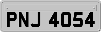 PNJ4054
