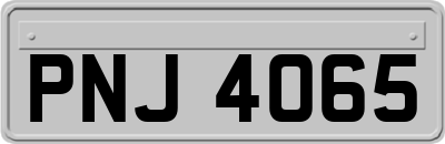 PNJ4065