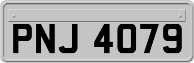 PNJ4079