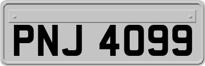 PNJ4099