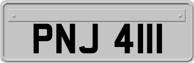 PNJ4111