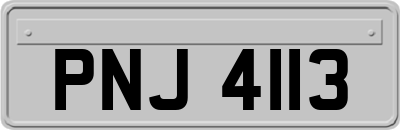 PNJ4113