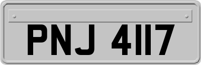 PNJ4117