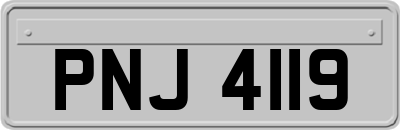 PNJ4119