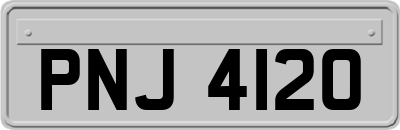 PNJ4120