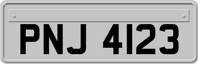 PNJ4123