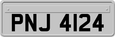 PNJ4124