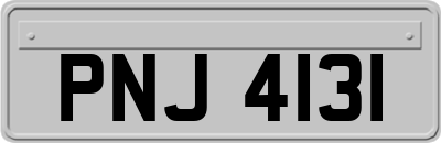 PNJ4131