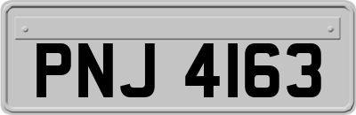 PNJ4163