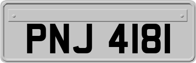 PNJ4181