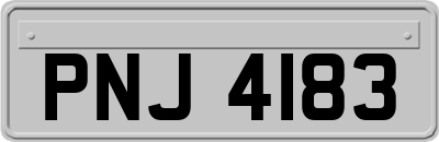 PNJ4183