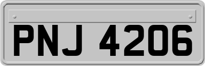 PNJ4206