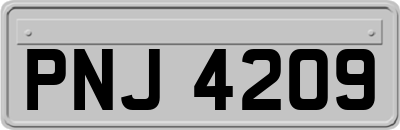 PNJ4209