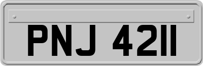 PNJ4211
