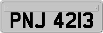 PNJ4213