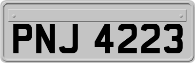 PNJ4223