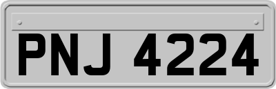 PNJ4224