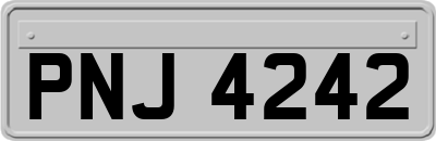 PNJ4242