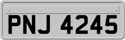 PNJ4245